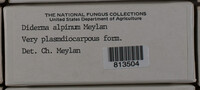 Image Associated With the Occurence